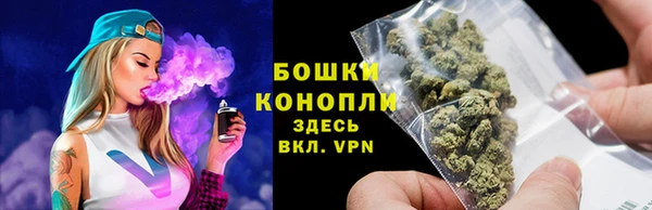 PSILOCYBIN Белоозёрский